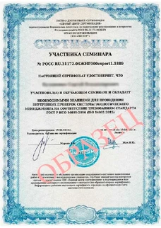Сертификат 3